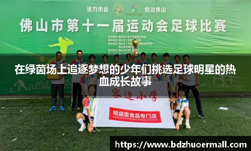 在绿茵场上追逐梦想的少年们挑选足球明星的热血成长故事