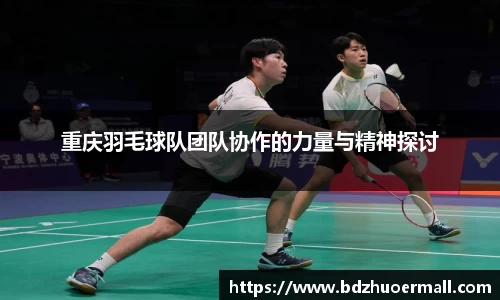 重庆羽毛球队团队协作的力量与精神探讨